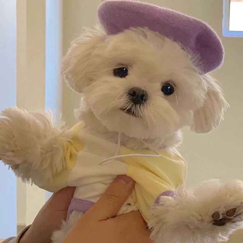 Animal Print Dog Tshirt Summer Thin Maltese Vest Teddy Cartoon Pullover Bichon Frise AntiShedding Clothes Cool Pet Tshirt X250928