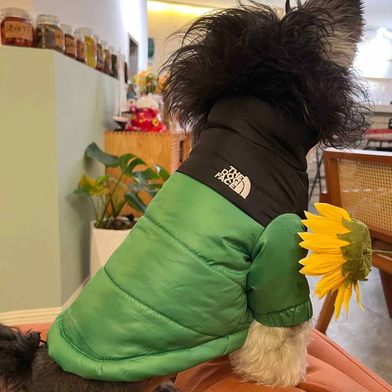 The Dog Face Winter Pet Dog Down et Clothes for Small Medium Dogs Warm Thick White Duck Down Vest French Bulldog Puppy Coat X250928