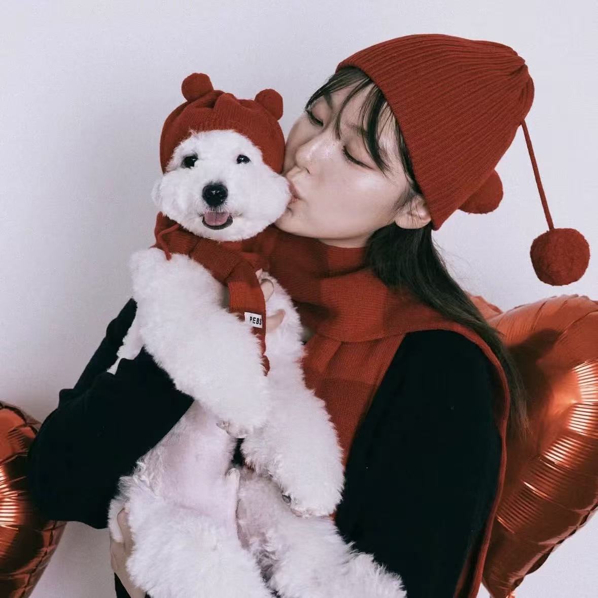 T1347 Korean pet warm wool ball pullover knitted wool hat autumn and winter cute cat dog small dog decoration