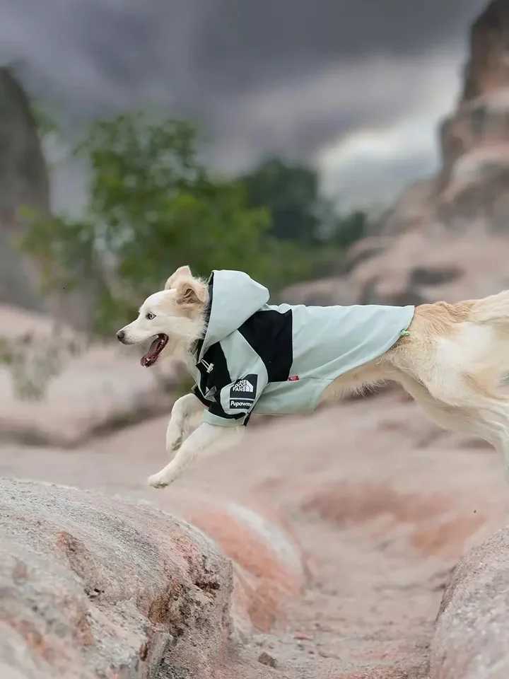 Luxurious Waterproof Large Dog Raincoat Windproof Pet Jacket Winter Warm Coat for All Breeds Labrador French Bulldog Dog Clothes2 D250926