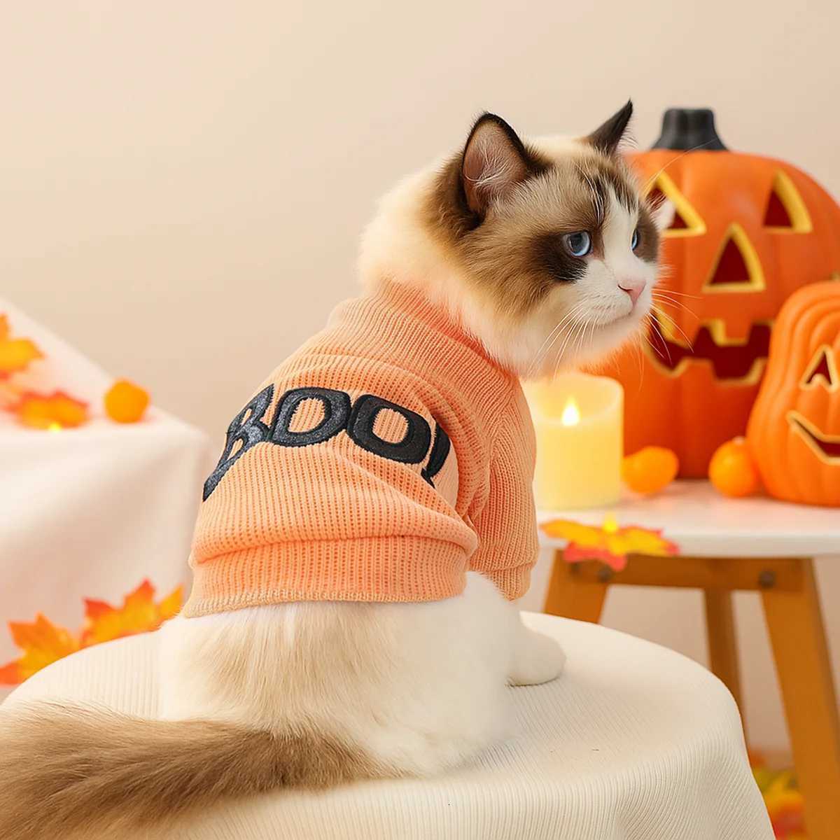 1PC Halloween Crew Neck Orange Pet Clothes Dog Crew Neck Pullover Sweater BOO Cute Fun Party Trick or Treat X250928