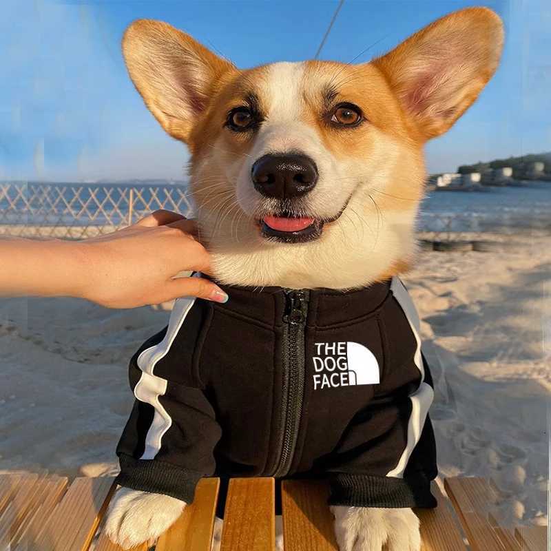 Autumn and winter new pet clothes dog zipper hoodie Big dog coat small and mediumsized dog out clothing cat clothes X250928