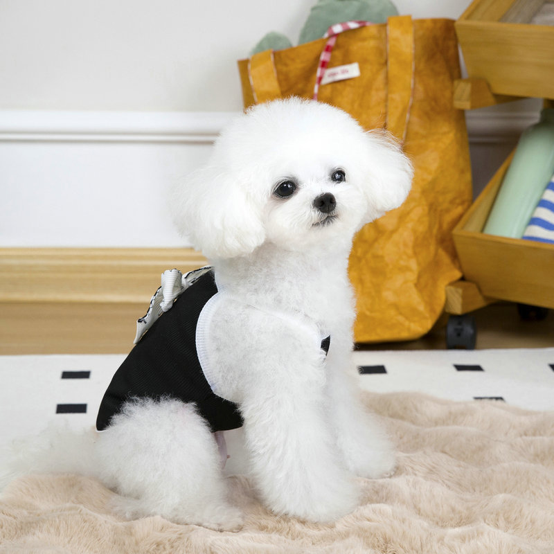 2025 new Clothes Summer Designer Apparel Pet Shirt Sundress Printed Dog Princess Dress Puppy Skirt with Classic Letters fo