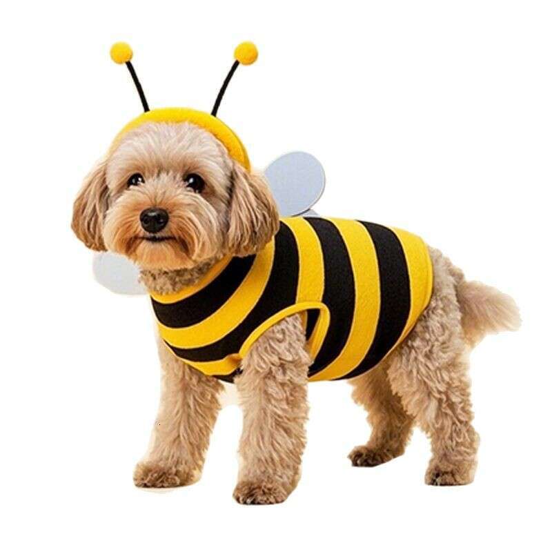 2025 New Halloween Pet Dog Clothes Bee Character Dress Up Costume Product