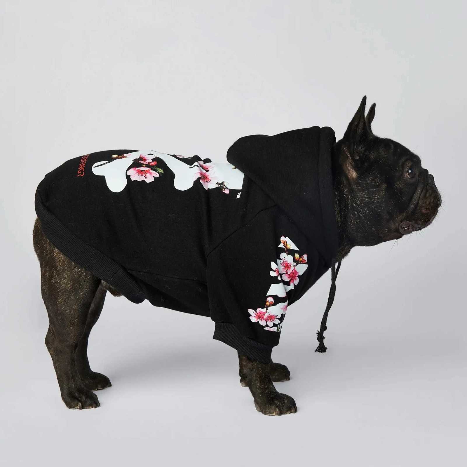 NONOR Dog Clothes WOOF Fashion Sakura Dog et Pet Dog Hoodies Winter French Bulldog Pugs Sports Dog et M4XL X250928