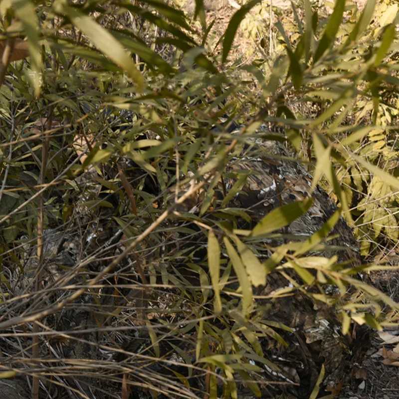 Biomimetic camouflage outdoor photography birdwatching hunting CS training and gaming suit version 20 W250928