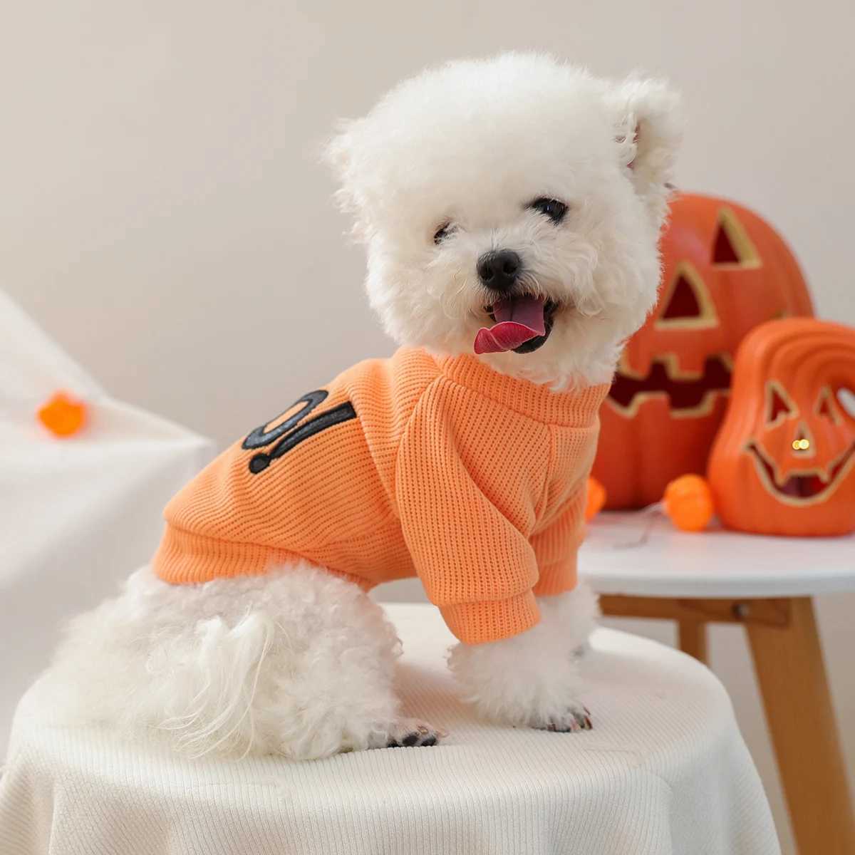 1PC Halloween Crew Neck Orange Pet Clothes Dog Crew Neck Pullover Sweater BOO Cute Fun Party Trick or Treat X250928