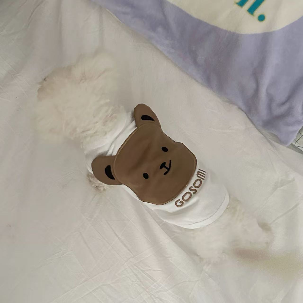 T1352 Cute Sweater Puppy Dog Autumn and Winter Thin Pet Small Puppy Teddy Bichon Teacup Dog Chihuahua Clothes