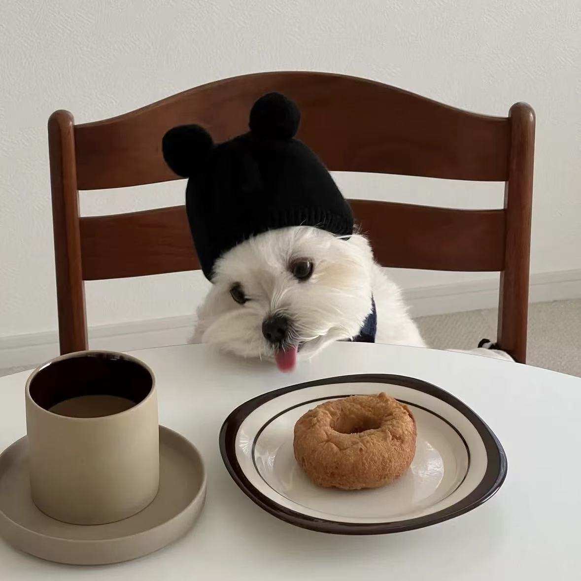 T1347 Korean pet warm wool ball pullover knitted wool hat autumn and winter cute cat dog small dog decoration