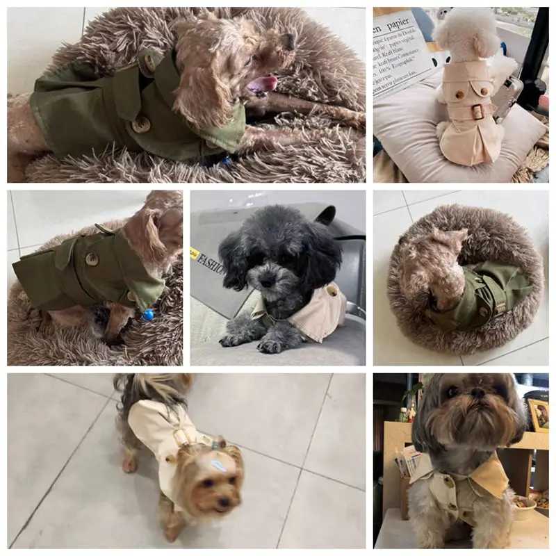 Free shipping Luxurious British Style Pet Dog Clothes - Winter Thicken Trench Coat Jacket with Hood for Small Dogs and Puppies - view 5