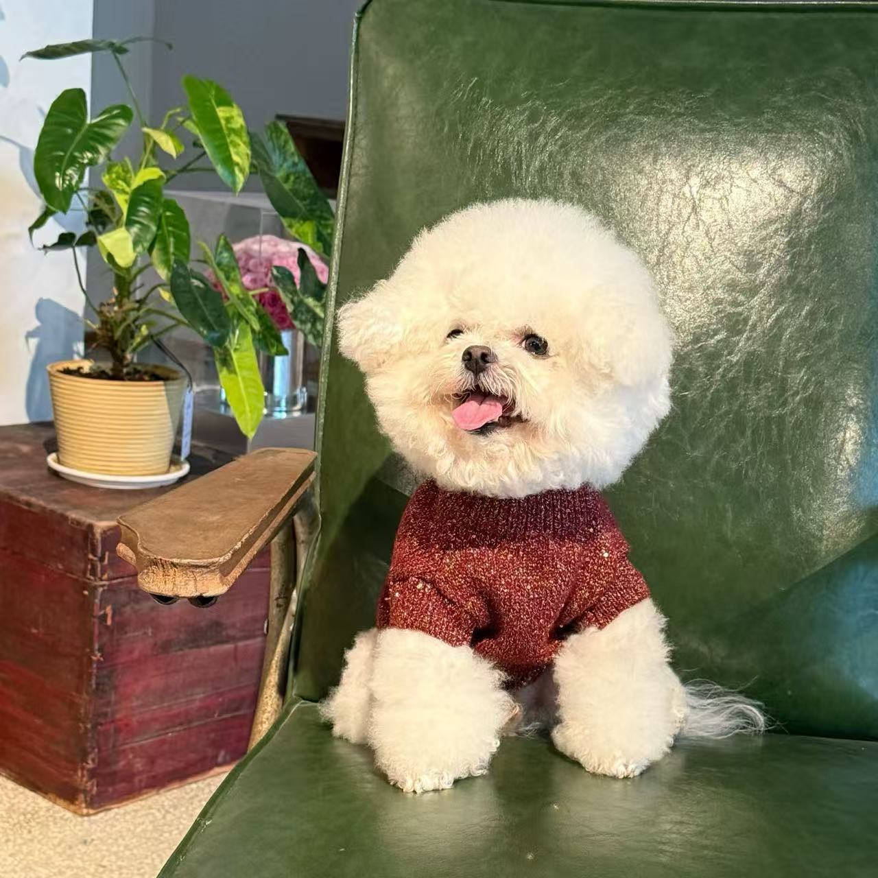 T1349 Pet Clothes Autumn and Winter New Teddy Bichon Schnauzer Maltese Small Dog Warm Sweater Puppy Clothes