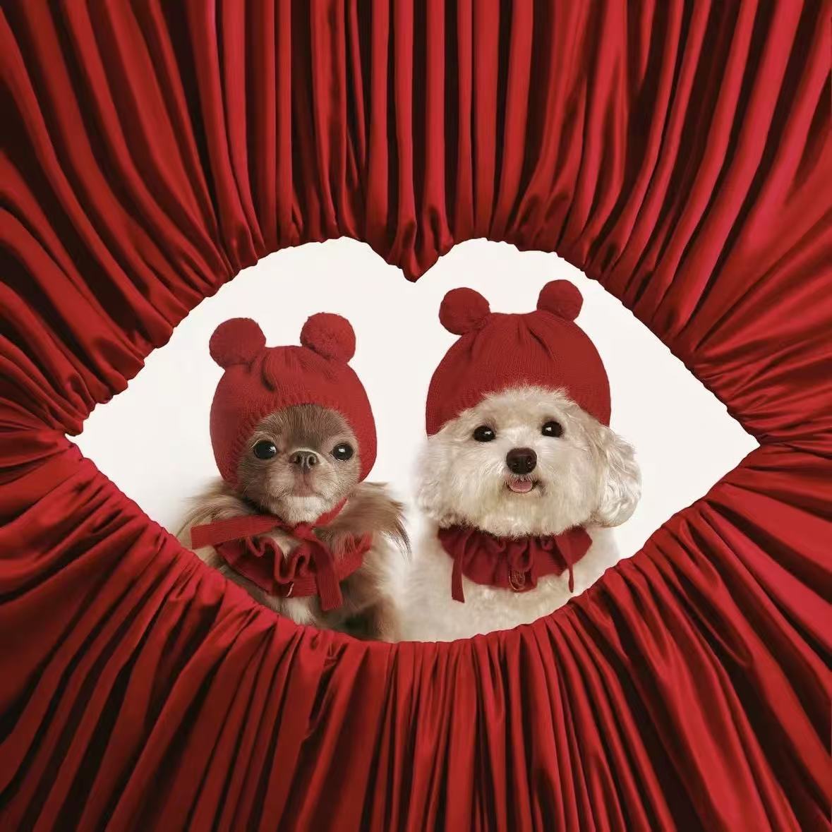 T1347 Korean pet warm wool ball pullover knitted wool hat autumn and winter cute cat dog small dog decoration