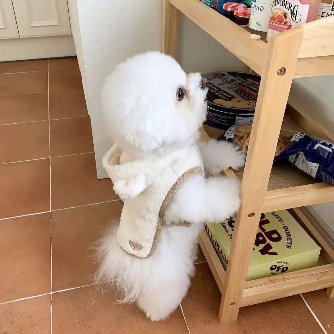 T1361 Autumn and Winter Pet Vest Bichon Teddy Pomeranian Schnauzer Poodle Yorkshire Terrier Cat Small Dog Clothes