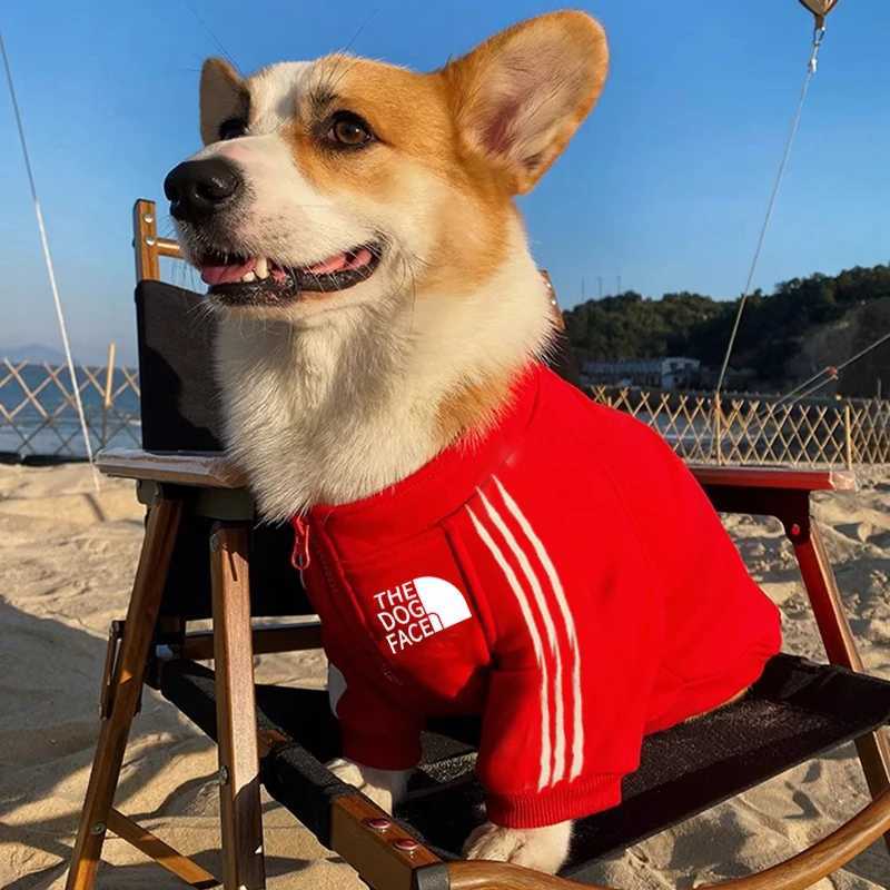 Autumn and winter new pet clothes dog zipper hoodie Big dog coat small and mediumsized dog out clothing cat clothes X250928