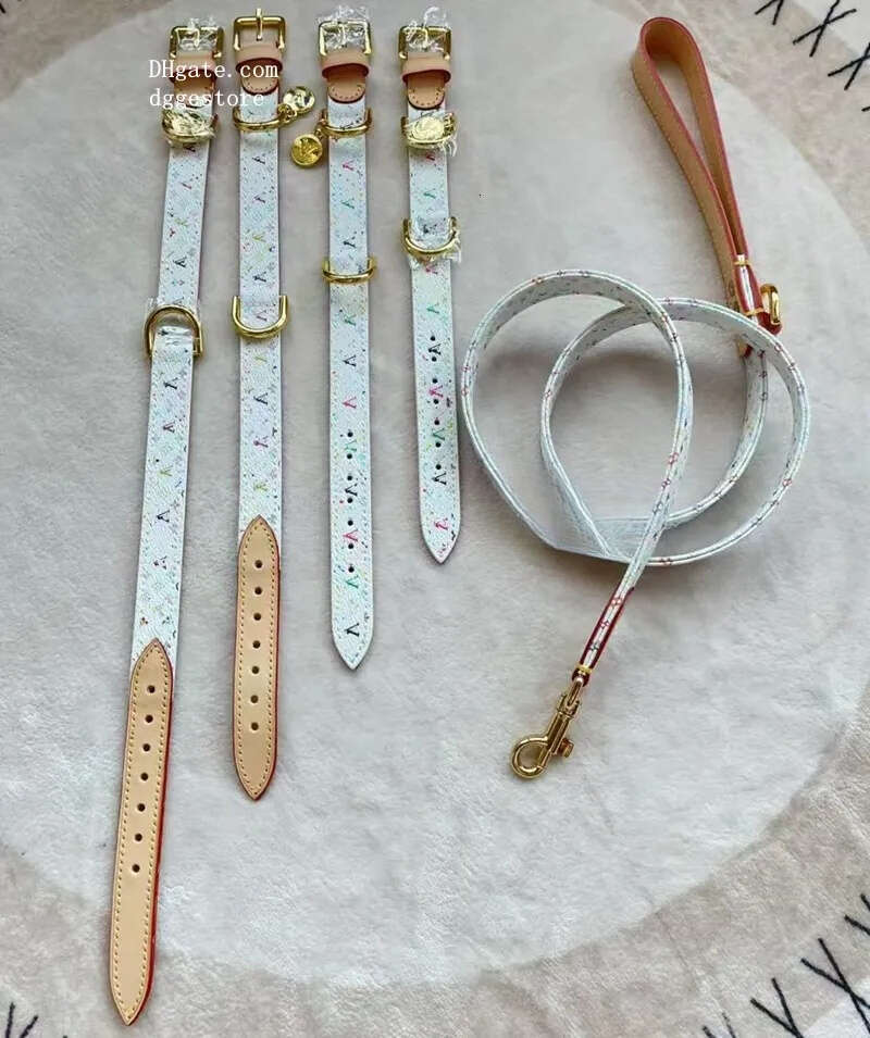 2025 new Designer with Exquisite Metal Buckle, Collars and Leash, High-Grade Dog Gift, Adjustable Pet Leather Collar for Small Medium Dogs,