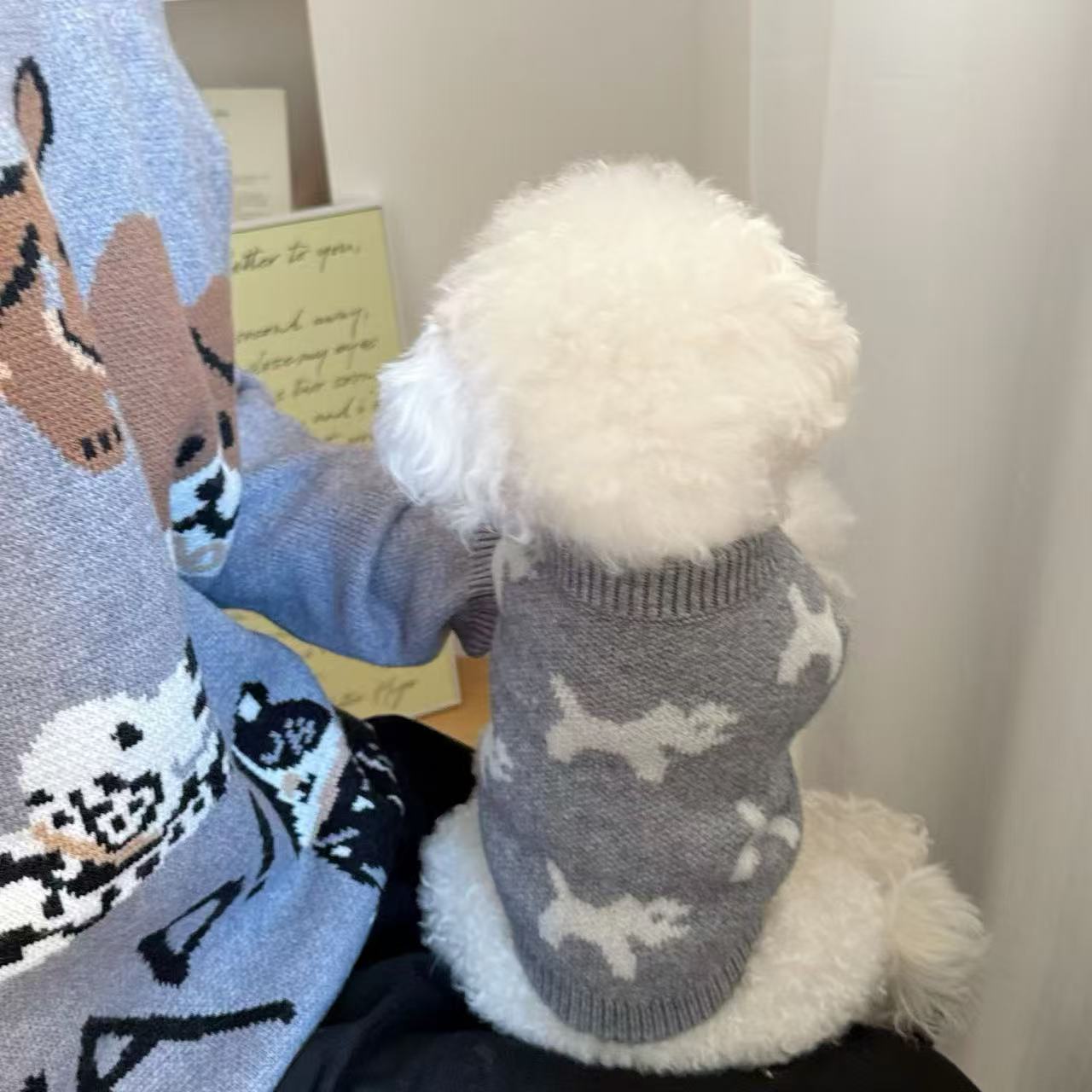 T1351 Cute Sweater Puppy Dog Autumn and Winter Thin Pet Small Puppy Teddy Bichon Teacup Dog Chihuahua Clothes