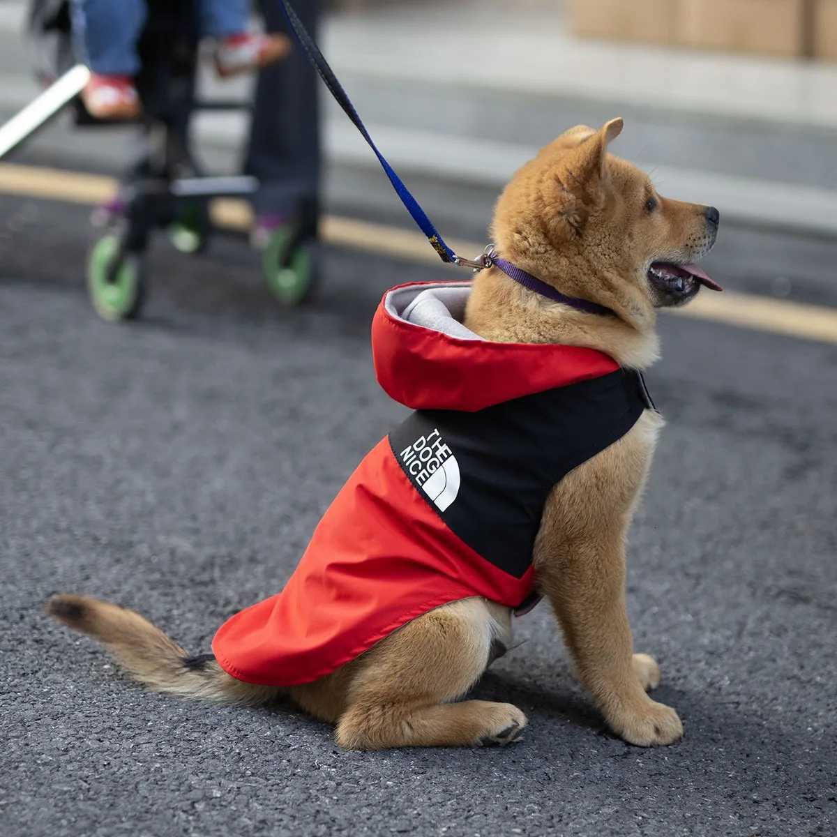 Waterproof Raincoat et for Dogs Teddy Spring Autumn Handsome Pet Clothing Popular Doggy Outerwear X250928