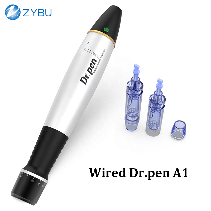Electric Dr.Pen A1-C Plug in Dermapen with 2 Pcs 12 Pins Cartridges Needles Mesotherapy Machine Wired Derma Pen Microneedling Therapy Skin Care MTS To