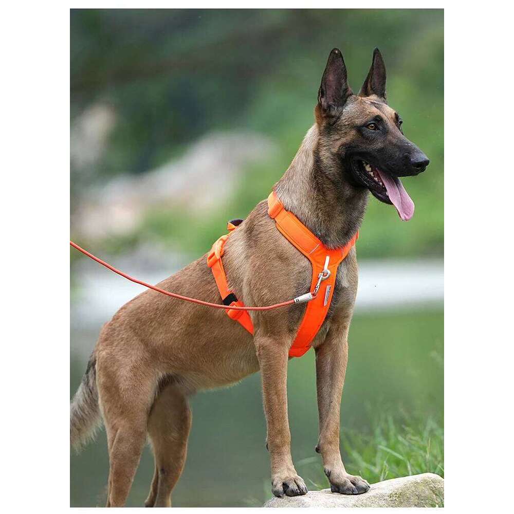 designer brand Pet No Pull Reflective Harness for Small Medium Large Dog Vest Adjustable Breathable Outdoor Travel dog accessories