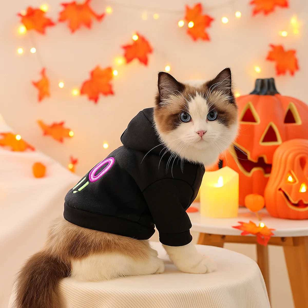 1PC Beautiful Halloween Cute Pet Clothes Pet Dog Mysterious Black Hooded Embroidered Alphabet Sweater Trickortreating Coat X250928