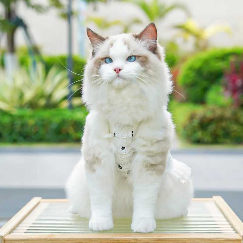 Lace Suspenders Puppy Summer Dress Dog Luxury Clothing Pet Dog Clothes for Small Dogs Chihuahua Bichon Apparels Cat Dog Skirts X250928