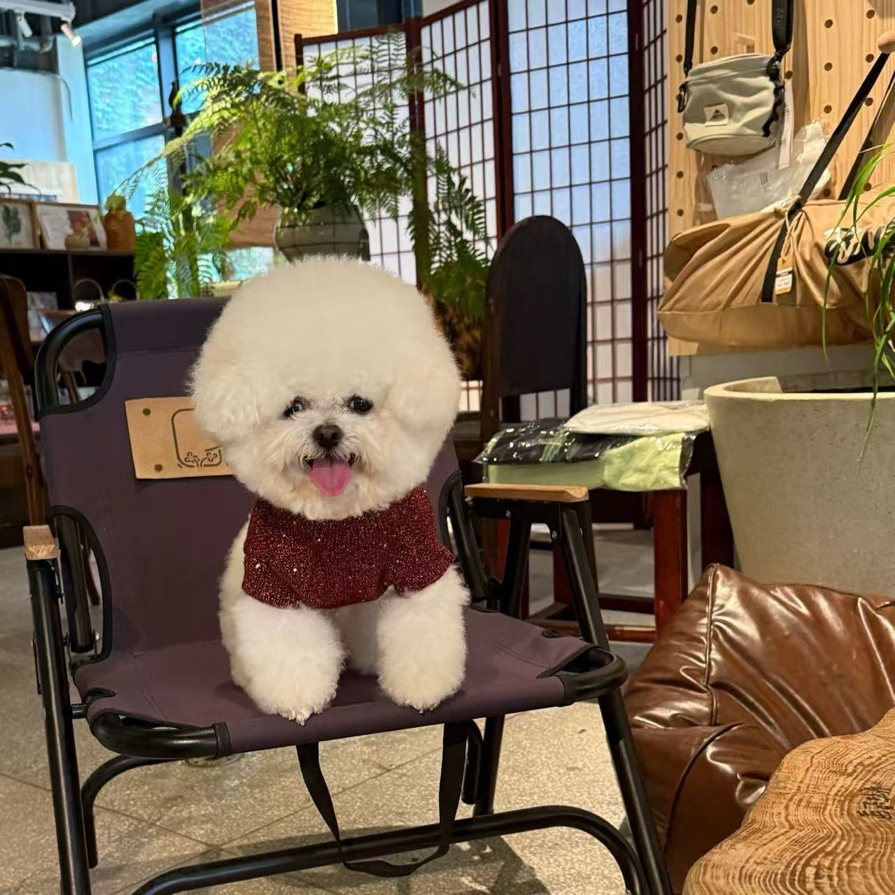 T1349 Pet Clothes Autumn and Winter New Teddy Bichon Schnauzer Maltese Small Dog Warm Sweater Puppy Clothes