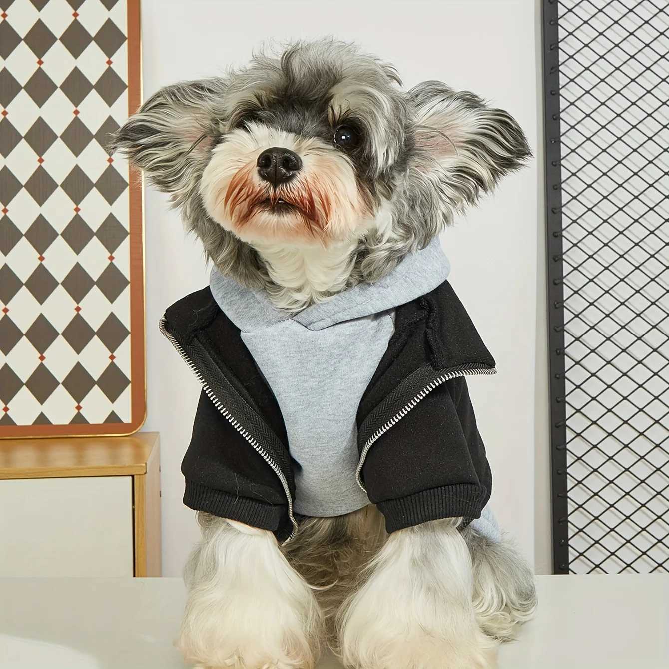 Winter Dog Clothes Pet Warm Hoodies Fashion Comfortable Dog Coat for Small Medium Dogs X250928