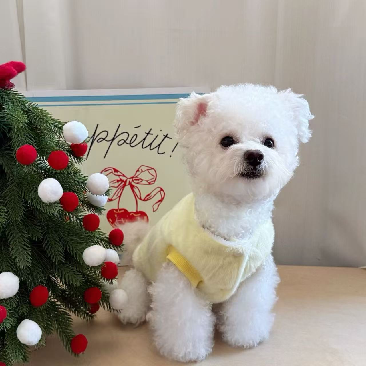 T1357 Dog Clothes 2025 New Summer Thin Small and Medium Dogs Small Bichon Teddy Cute Pet Cat Skirt