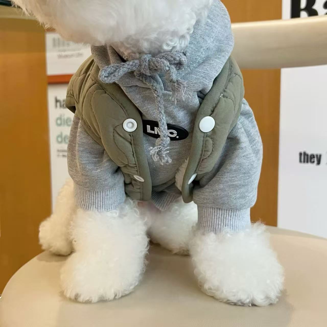 T1353 Dog Clothes Pet Fashion Brand Hooded Sweatshirt Handsome Small Dog Bichon Teddy Schnauzer Cat Spring Autumn Winter Clothes