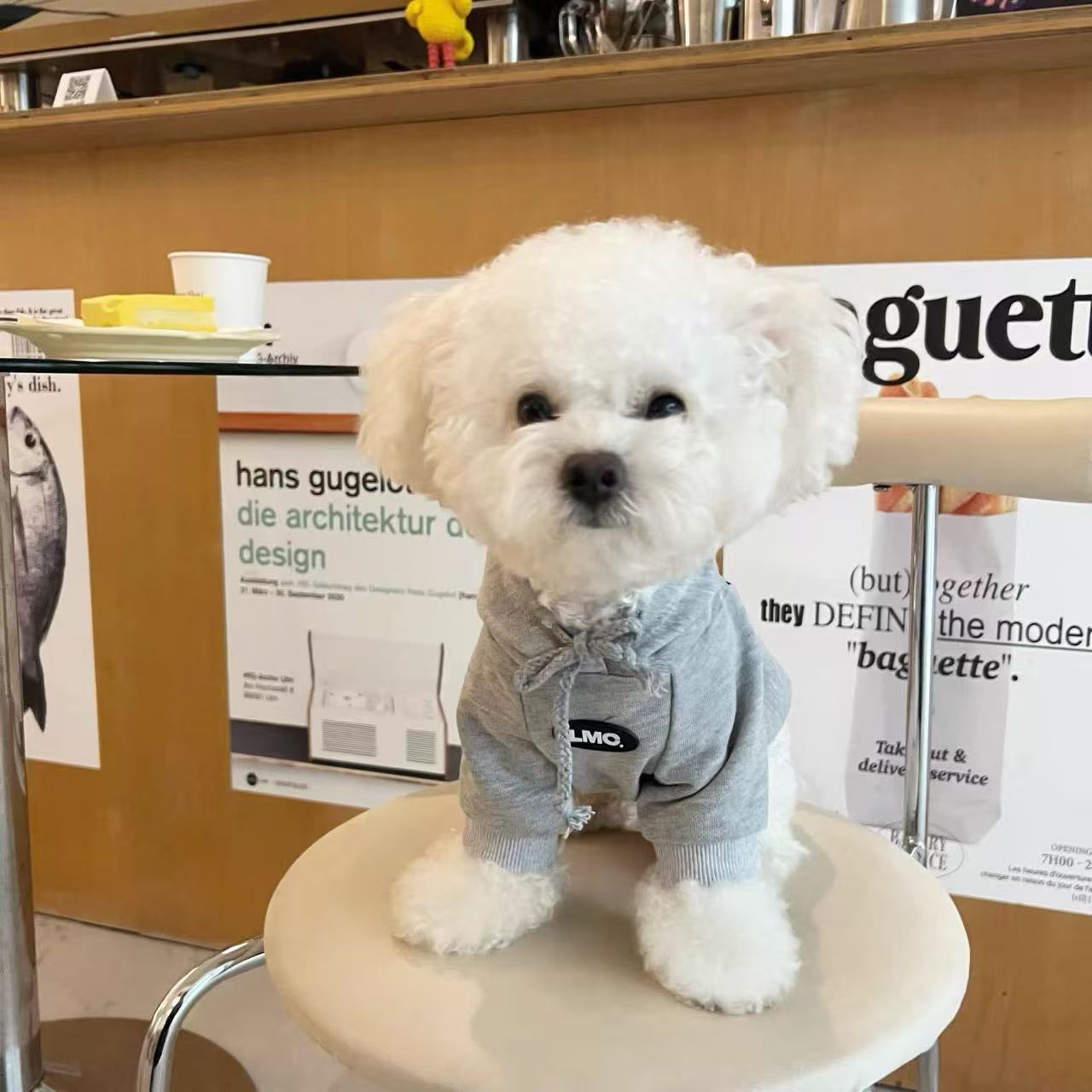 T1353 Dog Clothes Pet Fashion Brand Hooded Sweatshirt Handsome Small Dog Bichon Teddy Schnauzer Cat Spring Autumn Winter Clothes