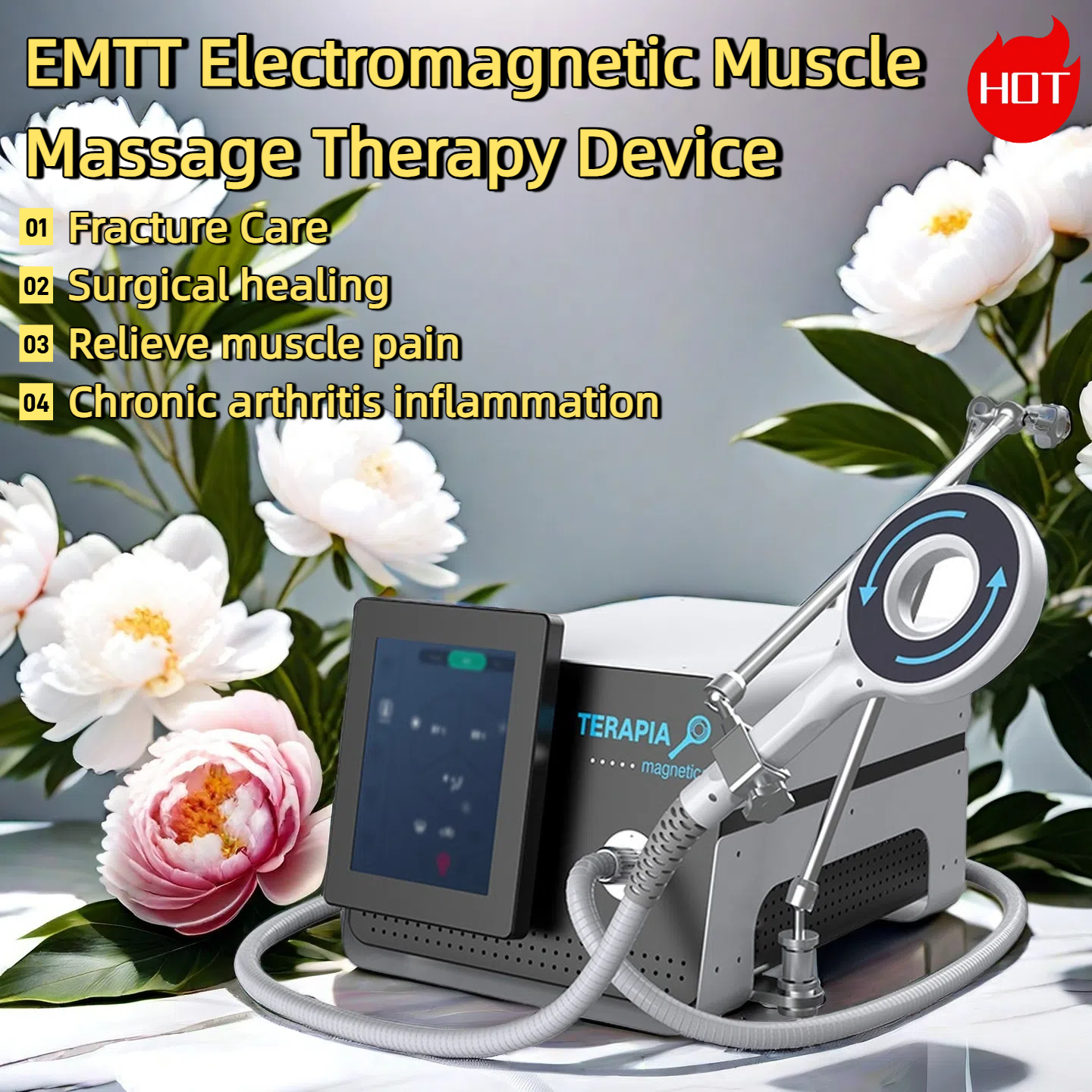 Emtt EMS Body Shaping Physical Therapy Pain Relief Physio Magneto Magnetic Transduction Osteoarthritis Intervertebral Disc Herniation Spondyloarthropa