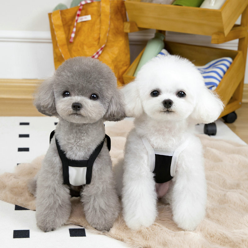 2025 new Clothes Summer Designer Apparel Pet Shirt Sundress Printed Dog Princess Dress Puppy Skirt with Classic Letters fo