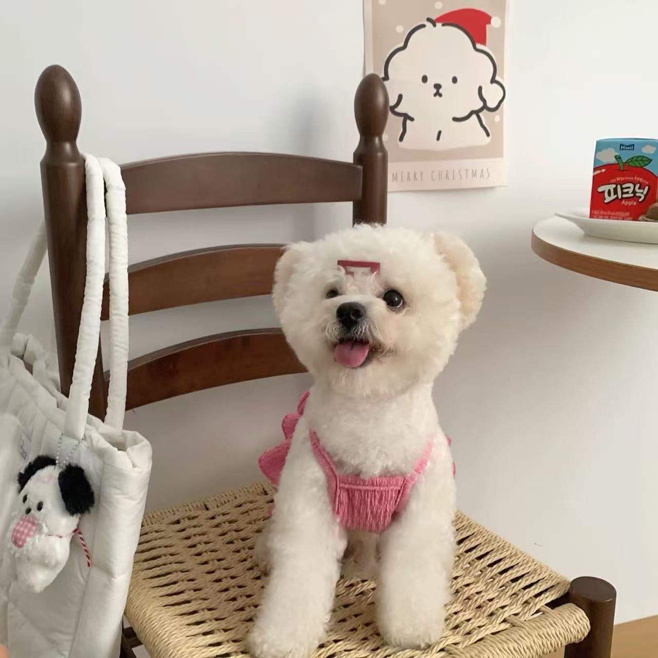 T1355 Dog Clothes Autumn and Winter Cat Small Puppy Small Bichon Teddy Pomeranian Christmas Warm Sleeveless Cotton Skirt