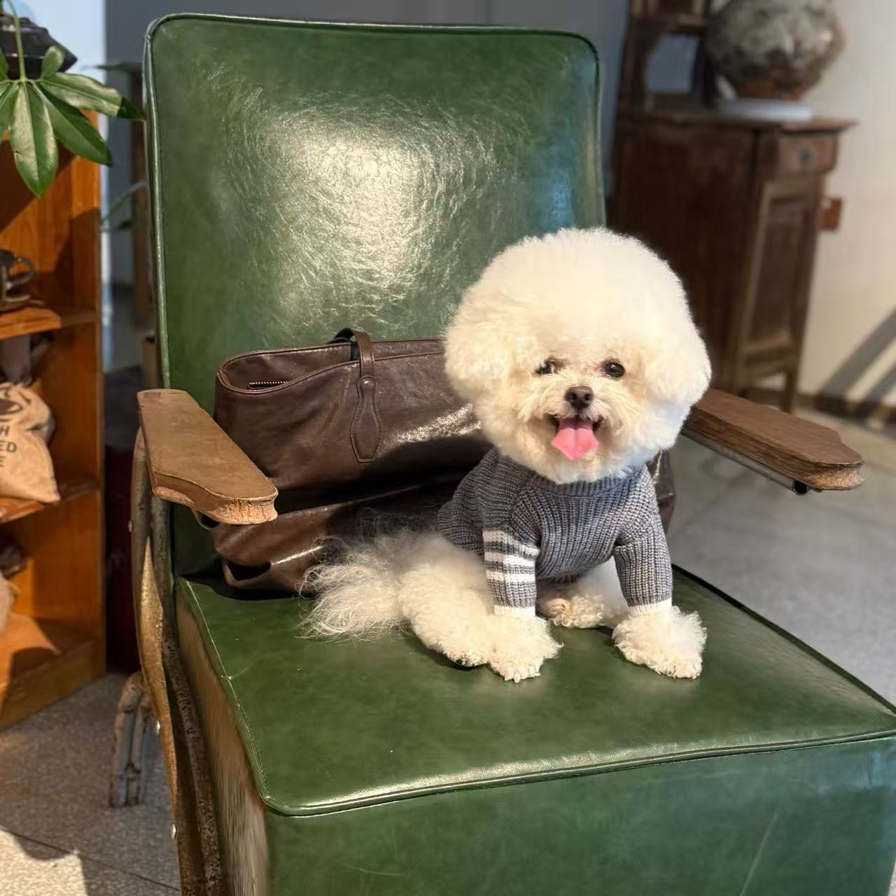 T1348 Korean pet warm wool ball pullover knitted wool hat autumn and winter cute cat dog small dog decoration