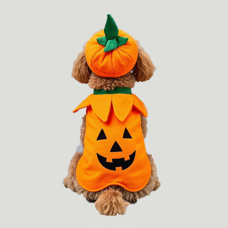 2025 New Halloween Costume Funny Dog Outfit Internet Celebrity Shiba Inu Pumpkin Festival Hat Sweatshirt