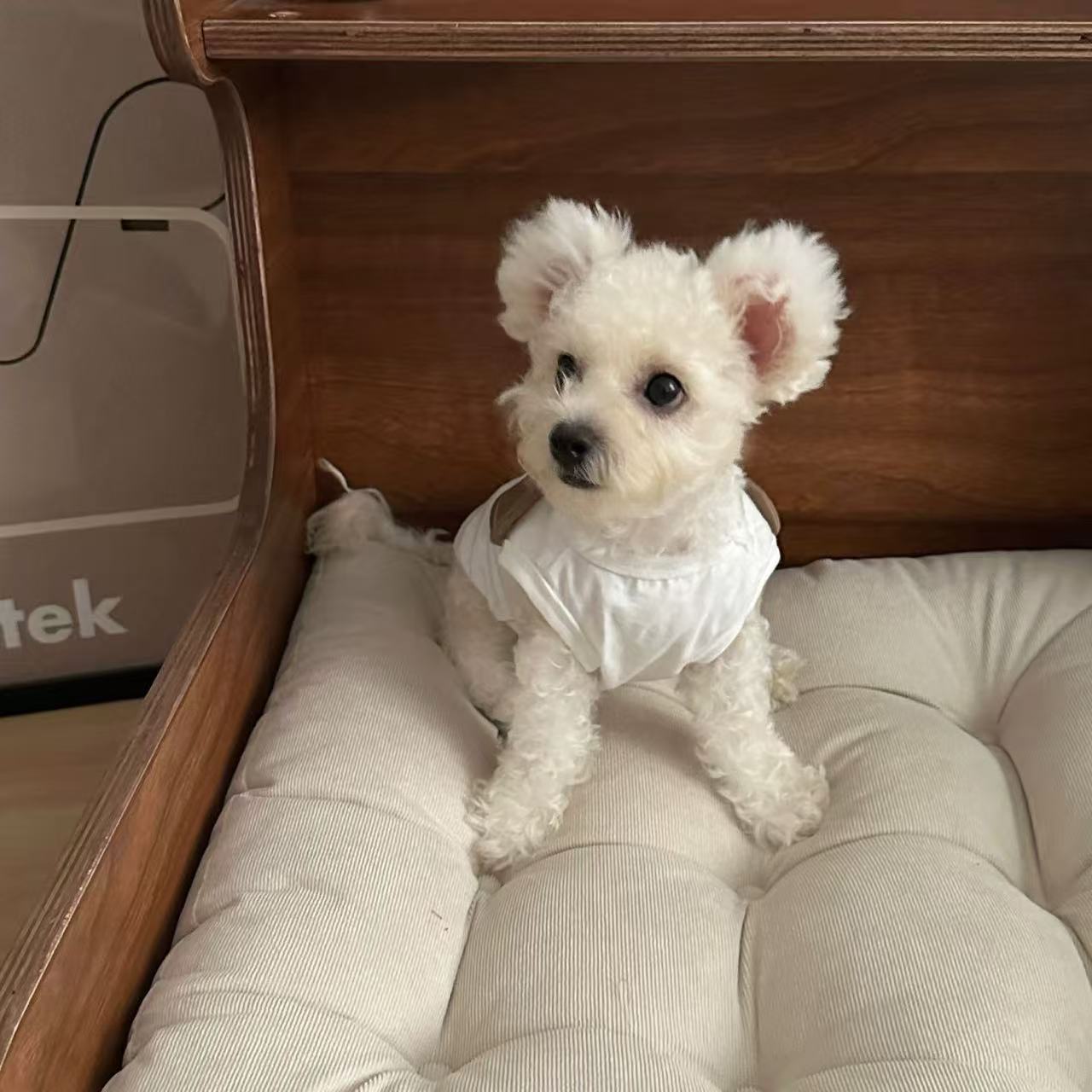 T1352 Cute Sweater Puppy Dog Autumn and Winter Thin Pet Small Puppy Teddy Bichon Teacup Dog Chihuahua Clothes