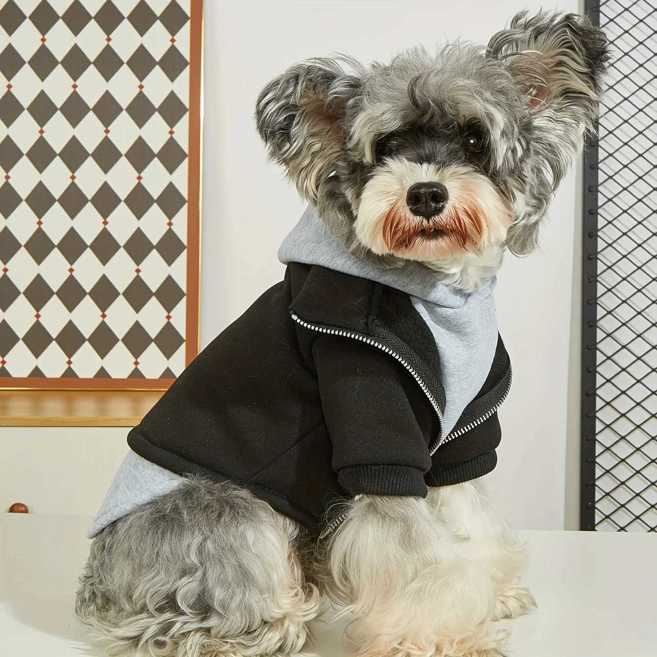 Winter Dog Clothes Pet Warm Hoodies Fashion Comfortable Dog Coat for Small Medium Dogs X250928