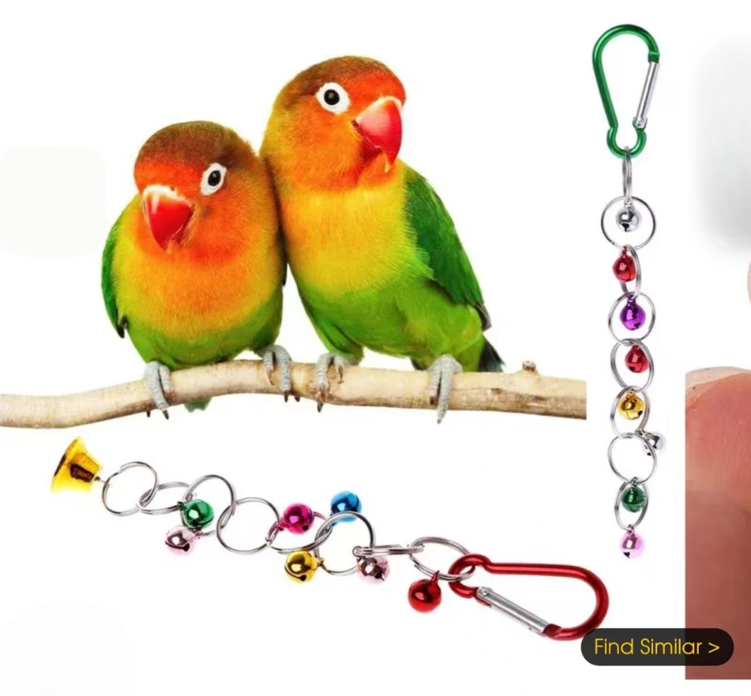 Durable Parrot Entertainment Gear - Single Pack of Chewable Rings & Sound Producing Chains