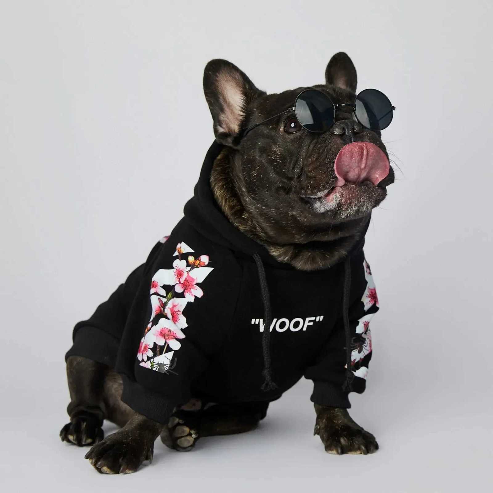 NONOR Dog Clothes WOOF Fashion Sakura Dog et Pet Dog Hoodies Winter French Bulldog Pugs Sports Dog et M4XL X250928