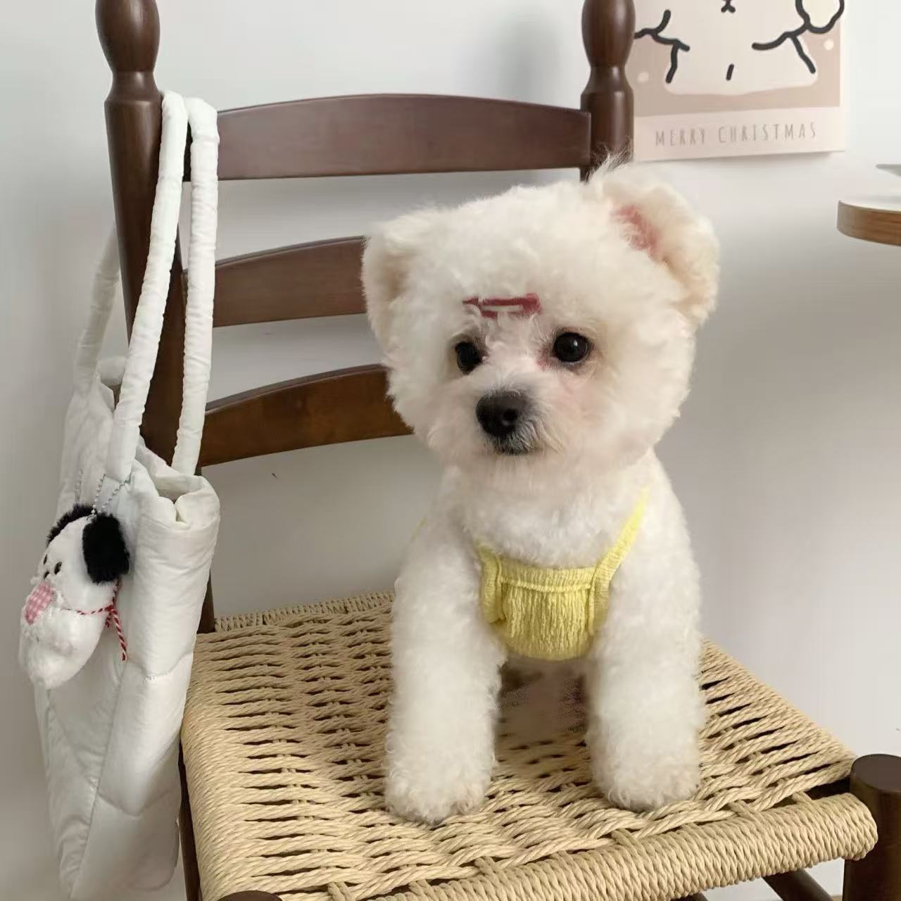 T1355 Dog Clothes Autumn and Winter Cat Small Puppy Small Bichon Teddy Pomeranian Christmas Warm Sleeveless Cotton Skirt