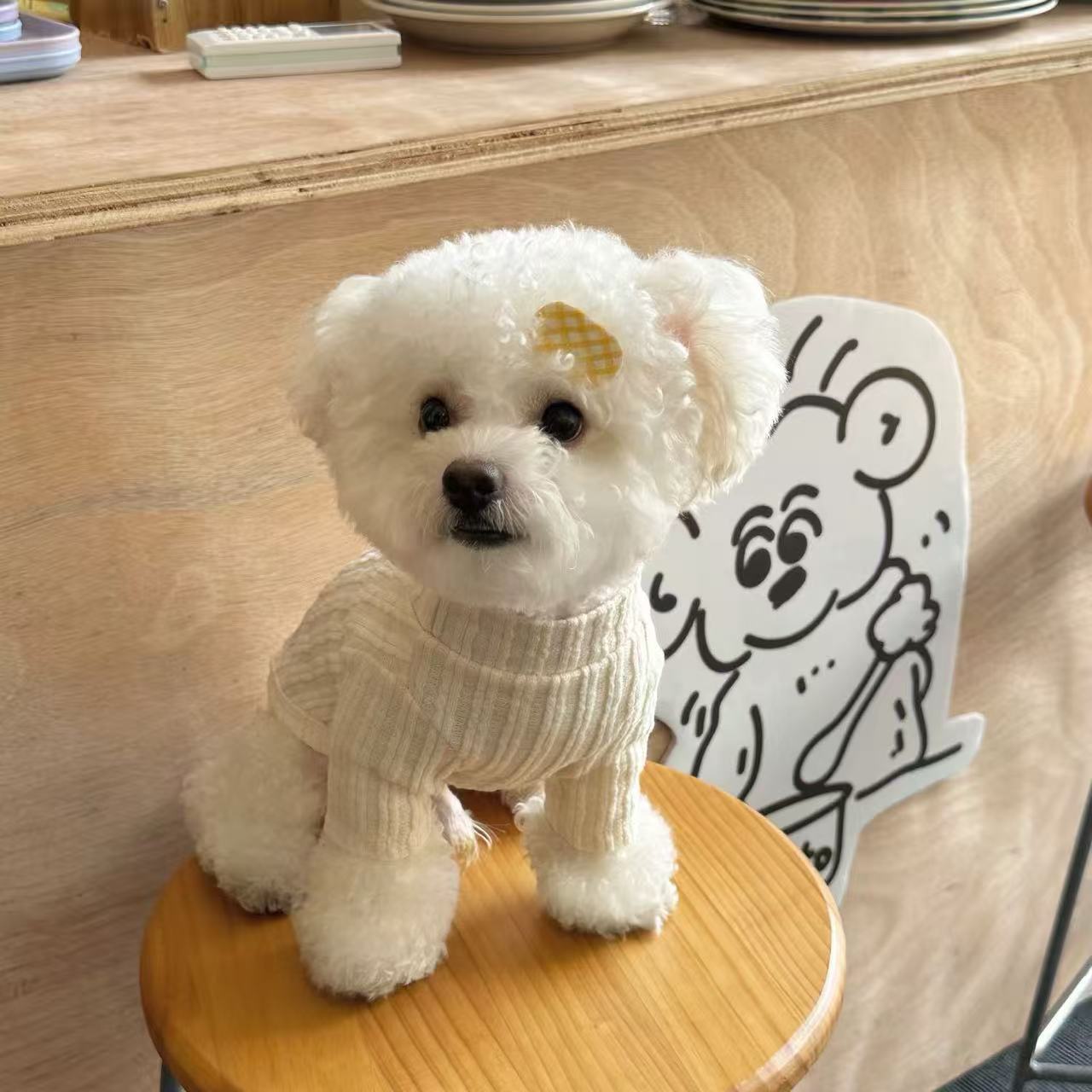 T1358 Dog Knitted Sweater Teddy Bichon Pomeranian Small Dog Yorkshire Terrier Maltese Pet Clothes Autumn and Winter Clothes