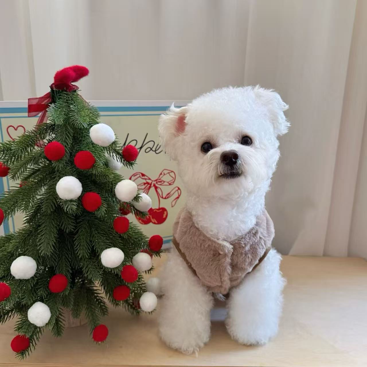T1357 Dog Clothes 2025 New Summer Thin Small and Medium Dogs Small Bichon Teddy Cute Pet Cat Skirt