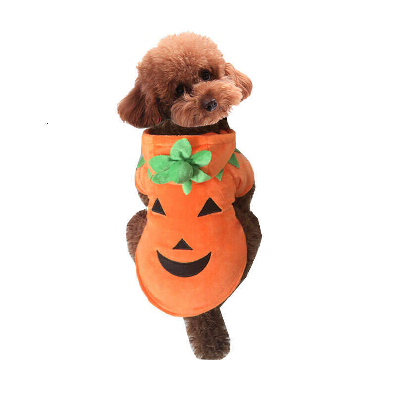 Pumpkin Transformation Dog Autumn and Winter Funny Halloween Costume Pet Clothes