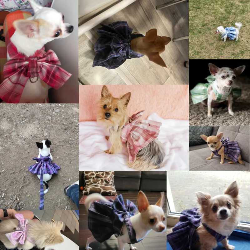 Dog Collar Skirt Bow Pet Harness With Breast Strap Traction Rope Dog Clothes For Small Dogs Cat Leash Princess Tutu Skirt Dress X250928