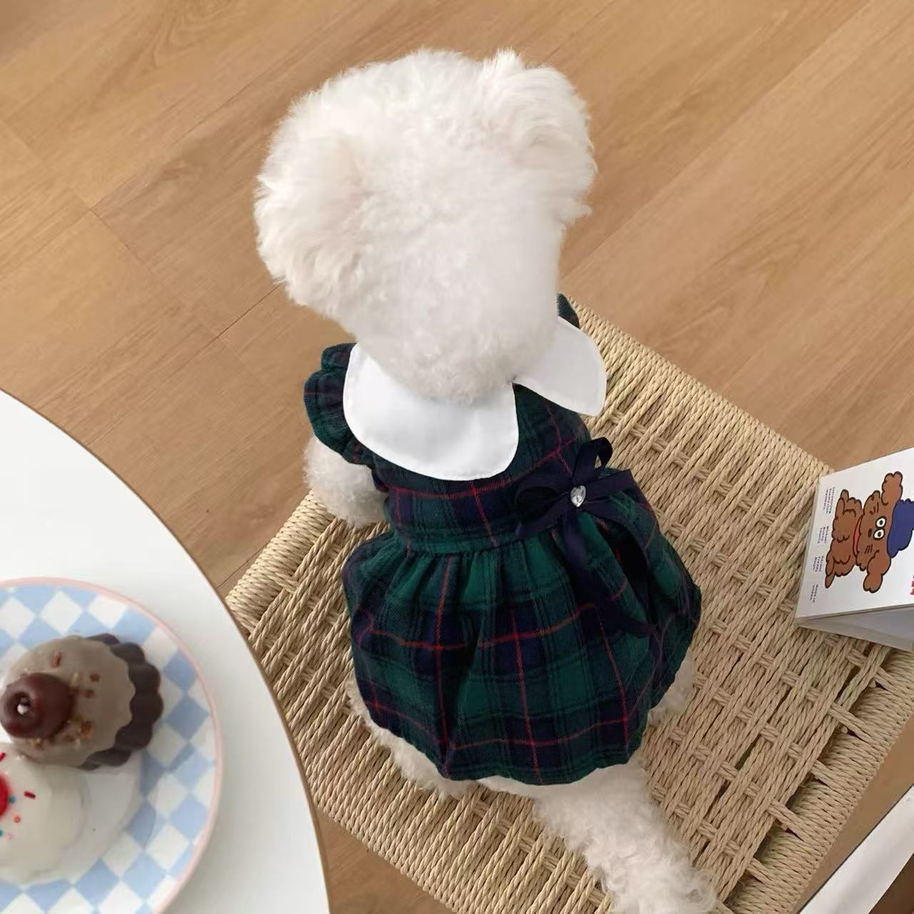 T1356 Dog clothes 2025 new summer thin small and medium-sized dog small body Bichon Teddy cute pet cat skirt