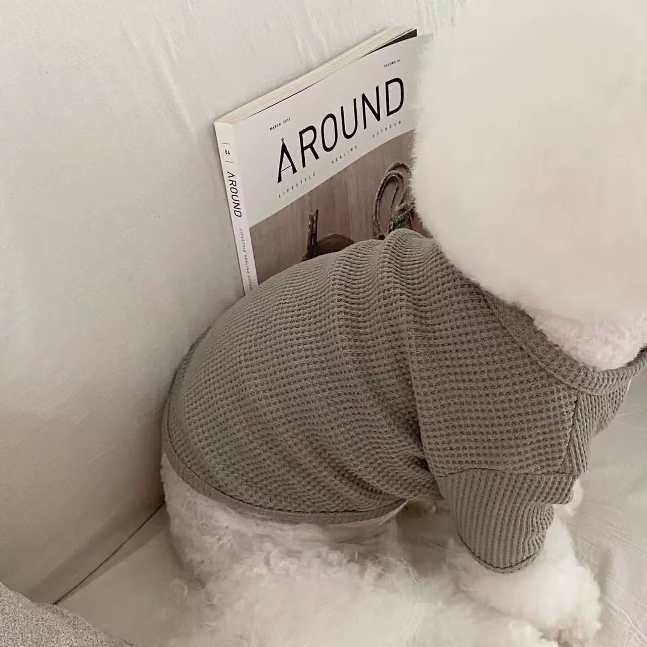 T1360 Pet autumn and winter clothes dog vest cat Teddy Bichon Pomeranian small puppy poodle schnauzer clothes coat