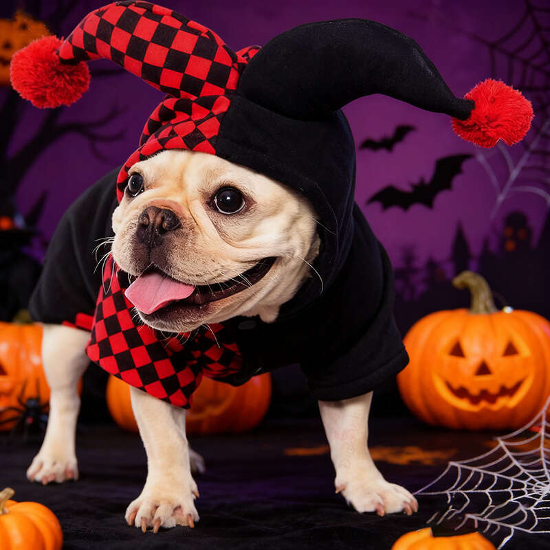 Clothes Clown Transformation Costume Pet Halloween Coat with Hat Party Outfit