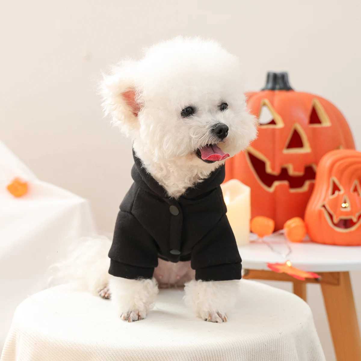 1PC Beautiful Halloween Cute Pet Clothes Pet Dog Mysterious Black Hooded Embroidered Alphabet Sweater Trickortreating Coat X250928