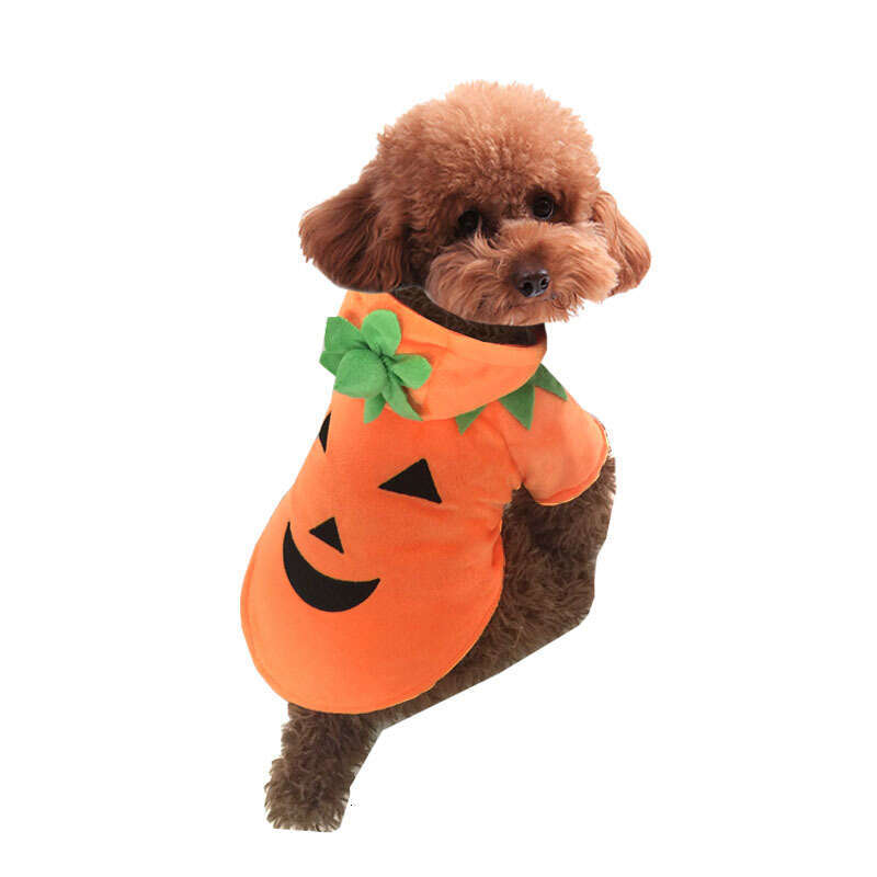 Pumpkin Transformation Dog Autumn and Winter Funny Halloween Costume Pet Clothes