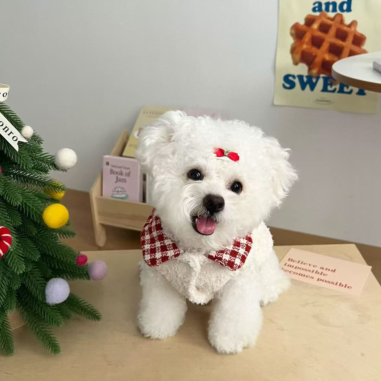 T1354 dog clothes autumn and winter cat small puppy small body Bichon Teddy Pomeranian Christmas warm sleeveless cotton skirt